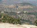al-Khawabi-2008 (7)